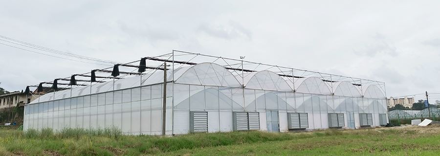 china greenhouse plastic home depot