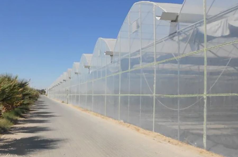 product-1-1 double layer poly greenhouse factory
