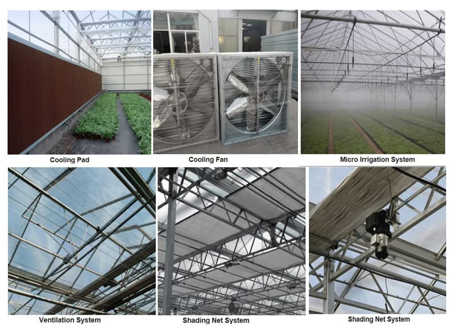 product-1-1 double layer poly greenhouse made in china