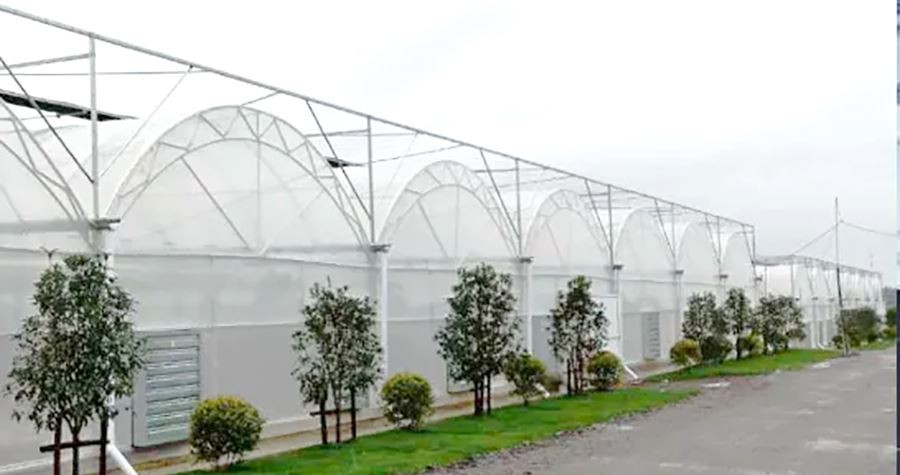 plastic cover for small greenhouse factory