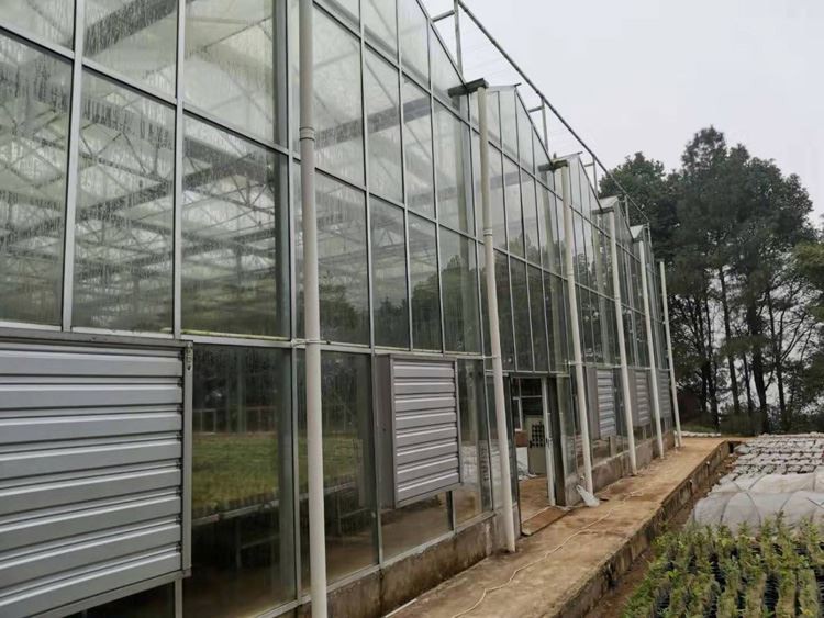 What are the common styles of greenhouses
