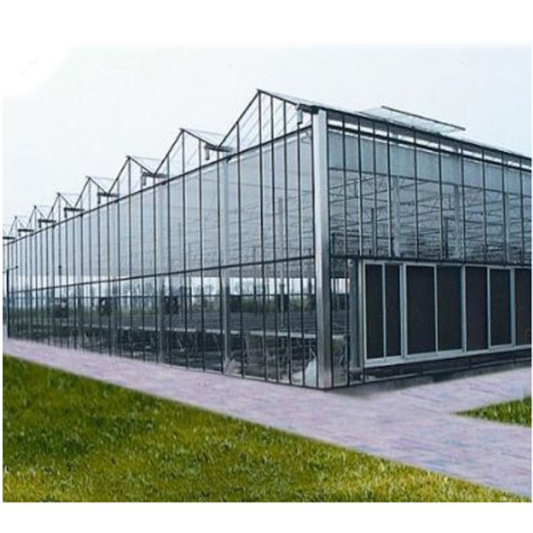 smart glass greenhouse construction smart glass greenhouse construction