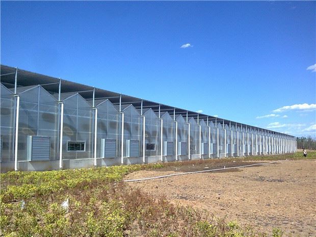 How to adjust the light environment in a solar greenhouse