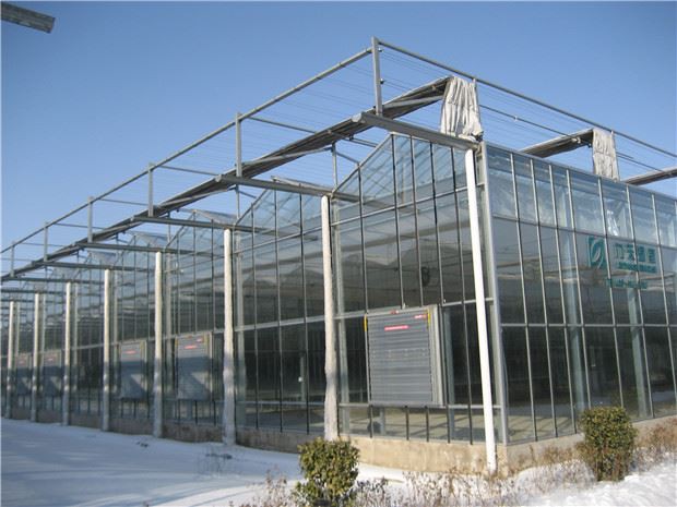 Lighting and insulation precautions for solar greenhouses Lighting and insulation precautions for solar greenhouses
