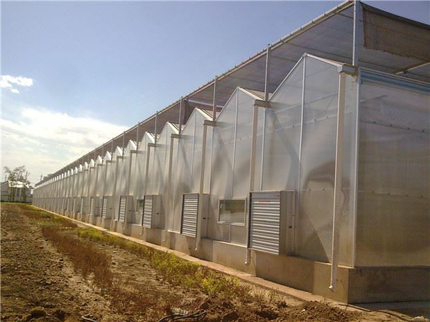 Introduction of glass greenhouse