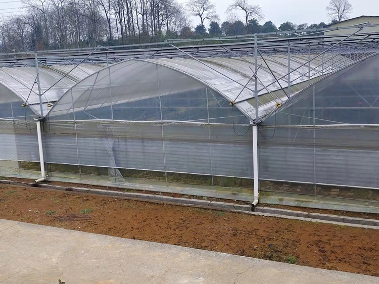 build a greenhouse