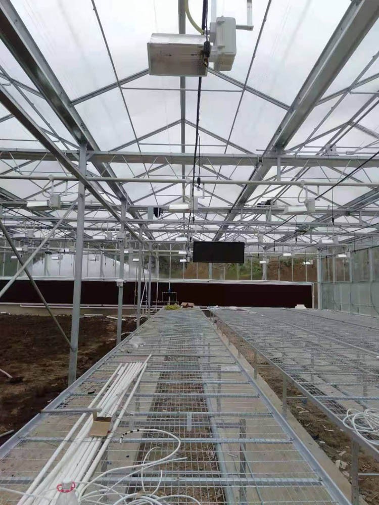 indoor greenhouse