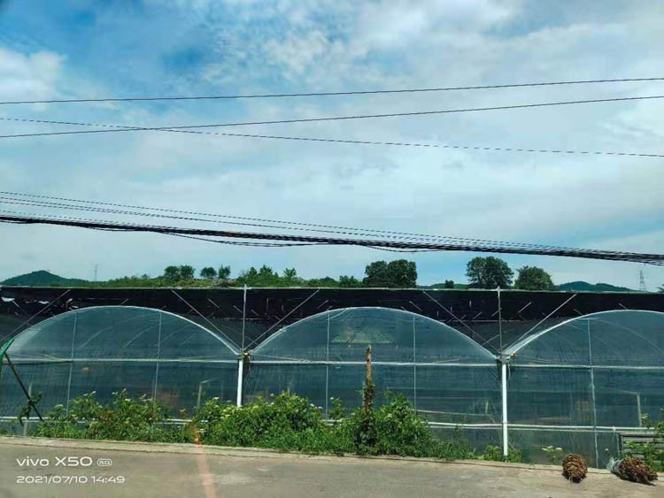 How to deal with the greenhouse in the rainy season and what to do