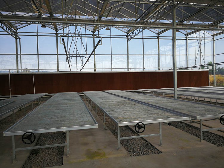 Greenhouse Trays