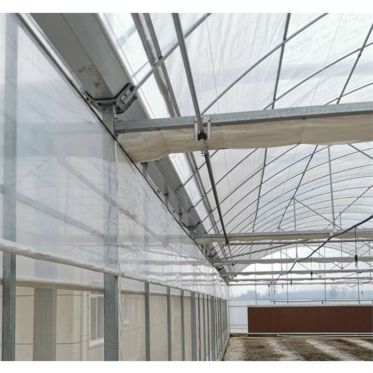 6 mil greenhouse plastic supplier