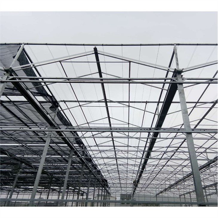 agriculture multi-span greenhouse  price