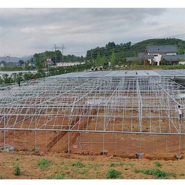 double layer poly greenhouse supplier