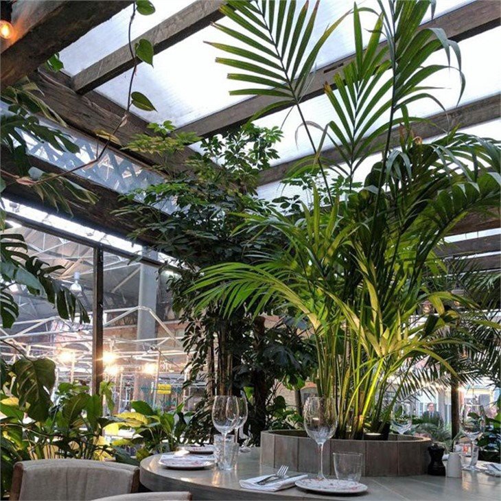 greenhouse cafe price
