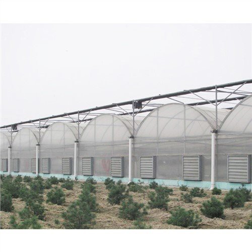 50 X 100 Парниковый пластик
